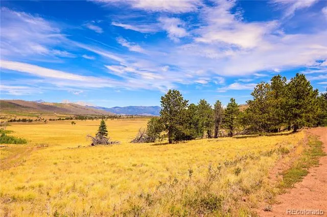 2113 Packer Place Fort Garland, CO 81133