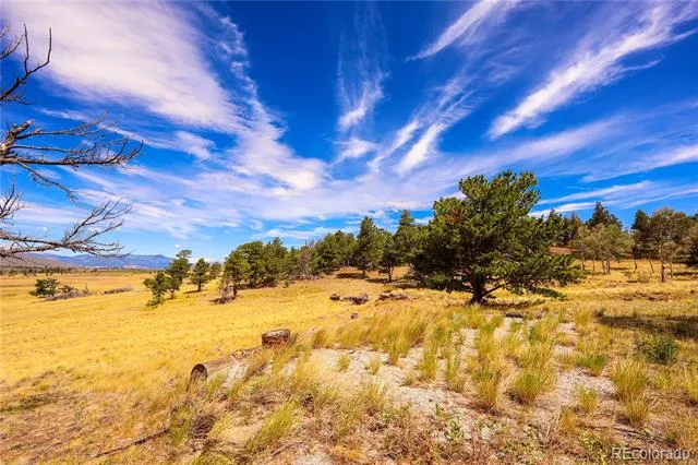 2113 Packer Place Fort Garland, CO 81133