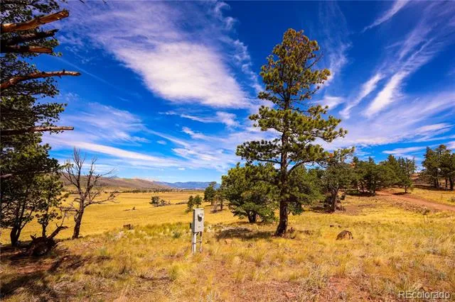 2113 Packer Place Fort Garland, CO 81133
