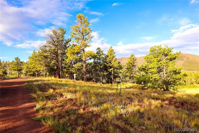 2113 Packer Place Fort Garland, CO 81133