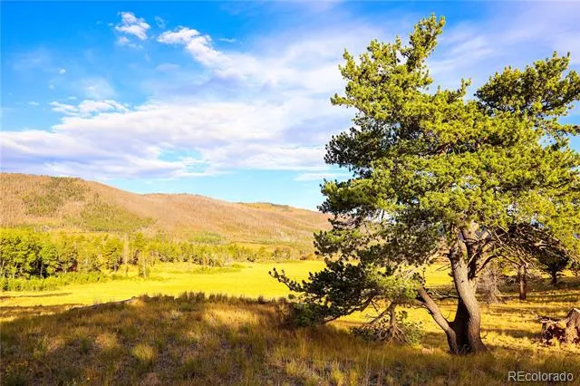 2113 Packer Place Fort Garland, CO 81133