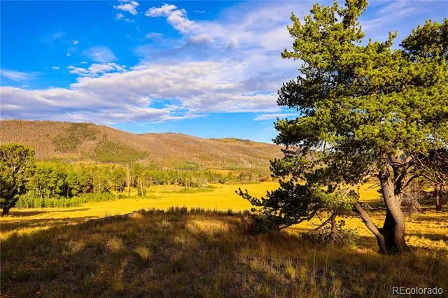 2113 Packer Place Fort Garland, CO 81133