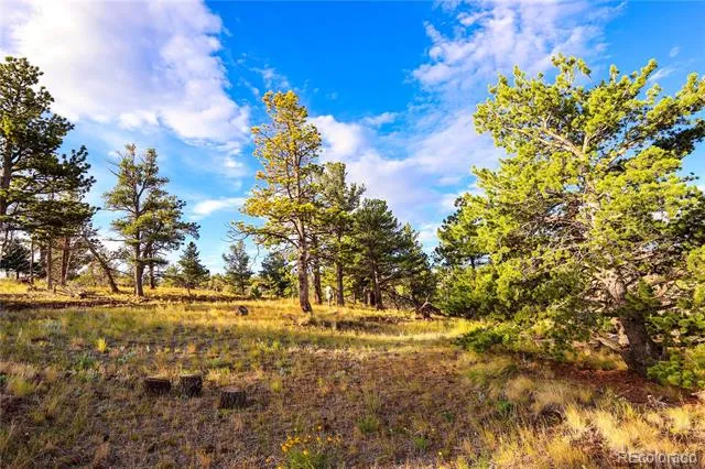 2113 Packer Place Fort Garland, CO 81133