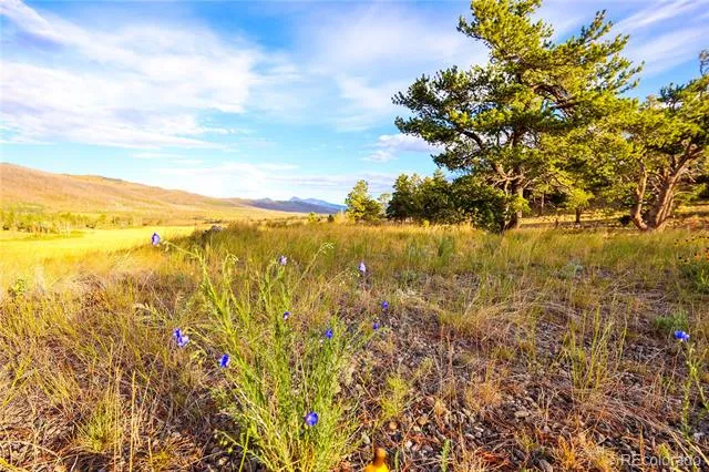 2113 Packer Place Fort Garland, CO 81133