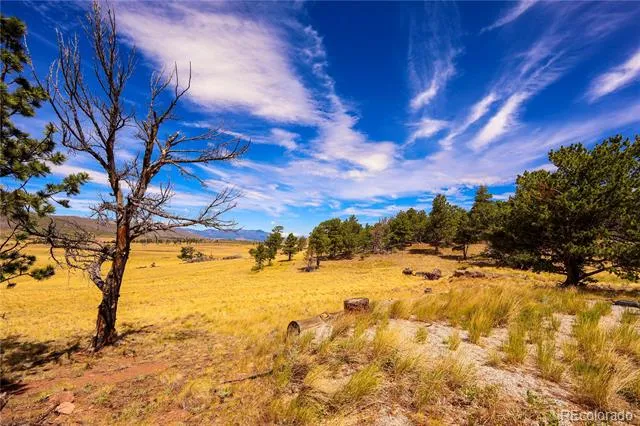 2113 Packer Place Fort Garland, CO 81133