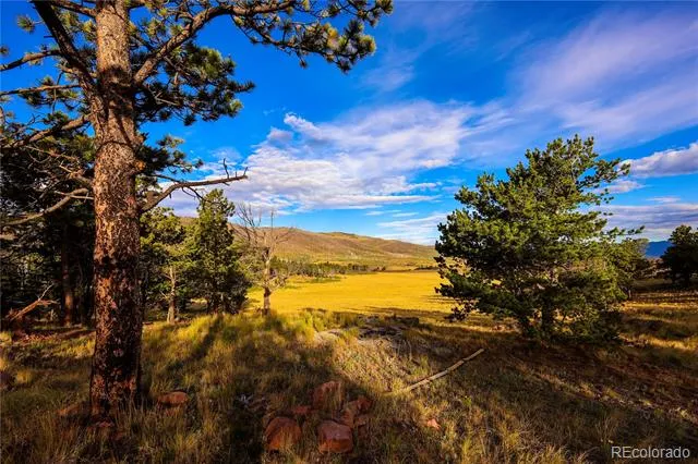 2113 Packer Place Fort Garland, CO 81133
