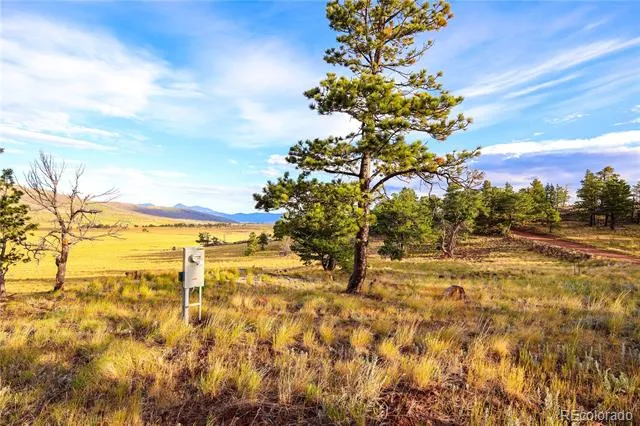 2113 Packer Place Fort Garland, CO 81133