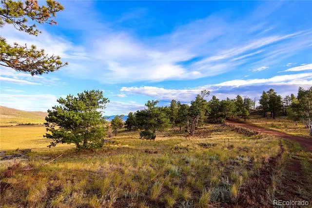 2113 Packer Place Fort Garland, CO 81133