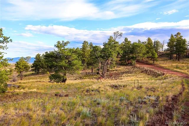 2113 Packer Place Fort Garland, CO 81133
