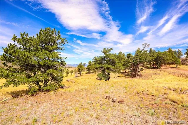 2113 Packer Place Fort Garland, CO 81133