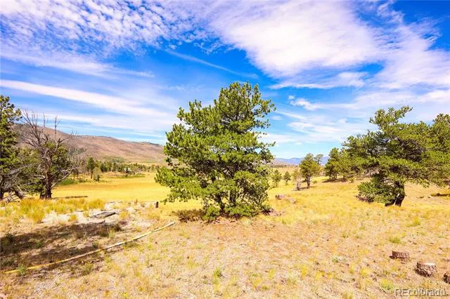 2113 Packer Place Fort Garland, CO 81133
