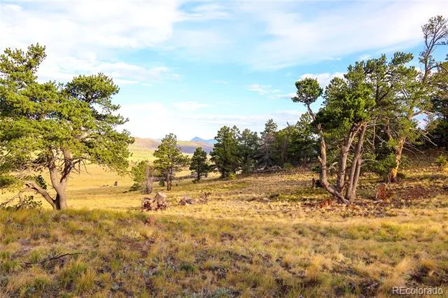2113 Packer Place Fort Garland, CO 81133