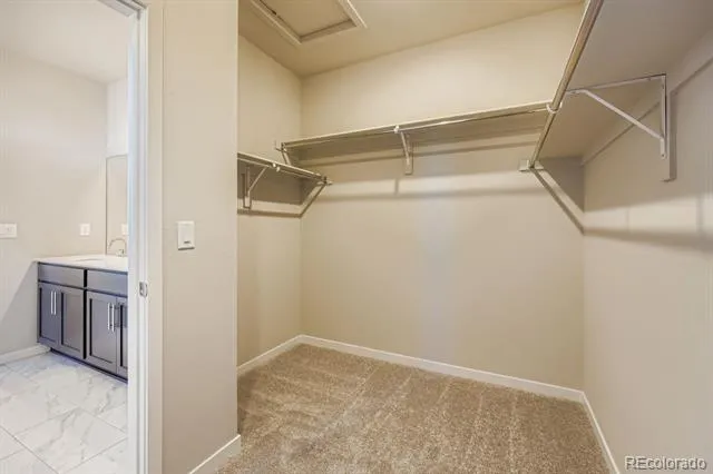 16681 Stelvio Point Parker, CO 80134