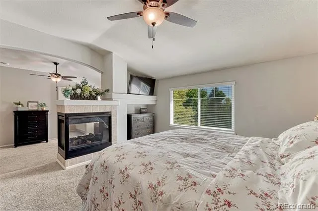 9832 Amber Rock Drive Parker, CO 80134
