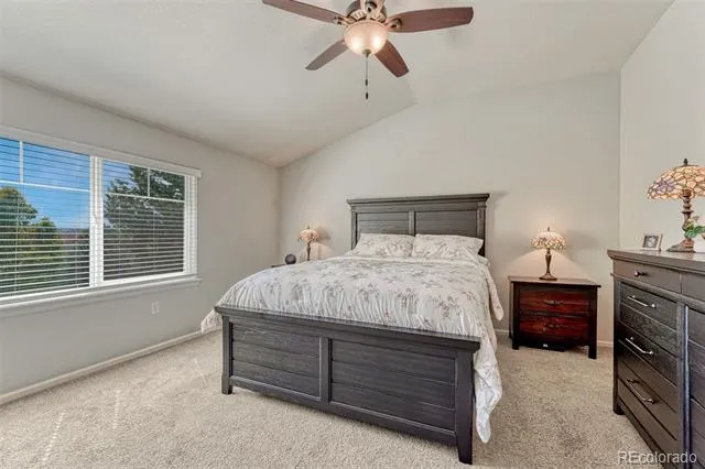 9832 Amber Rock Drive Parker, CO 80134