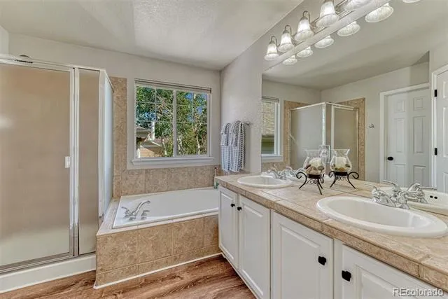 9832 Amber Rock Drive Parker, CO 80134