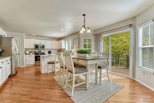 9832 Amber Rock Drive Parker, CO 80134