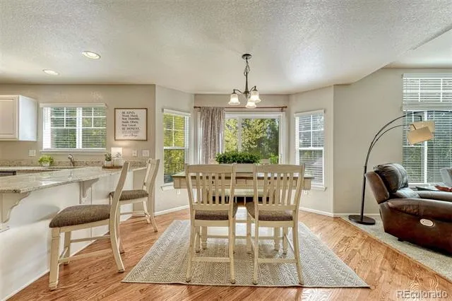9832 Amber Rock Drive Parker, CO 80134