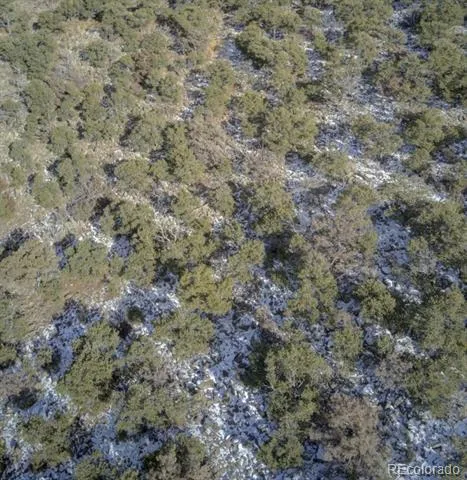 LOT 2443 Hall Lane Fort Garland, CO 81133