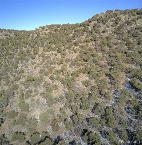 LOT 2443 Hall Lane Fort Garland, CO 81133