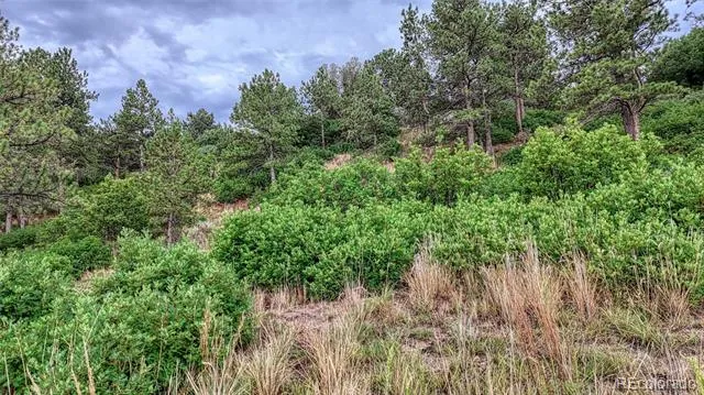 45 E Woodmen Road Colorado Springs, CO 80919