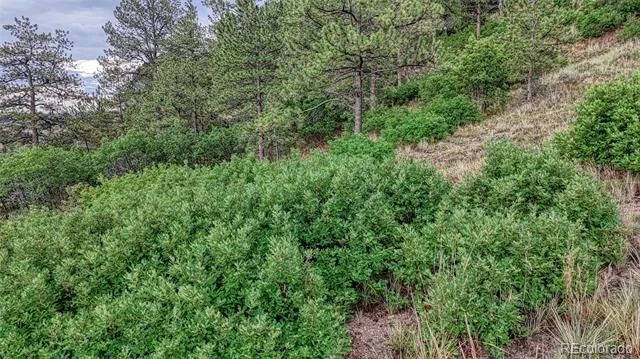 45 E Woodmen Road Colorado Springs, CO 80919