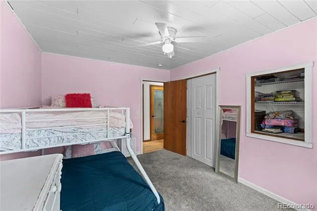 1178 Forest Hill Road Woodland Park, CO 80863