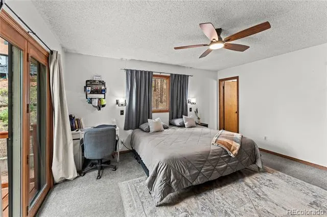 1178 Forest Hill Road Woodland Park, CO 80863