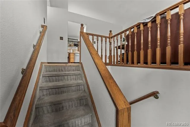 1178 Forest Hill Road Woodland Park, CO 80863