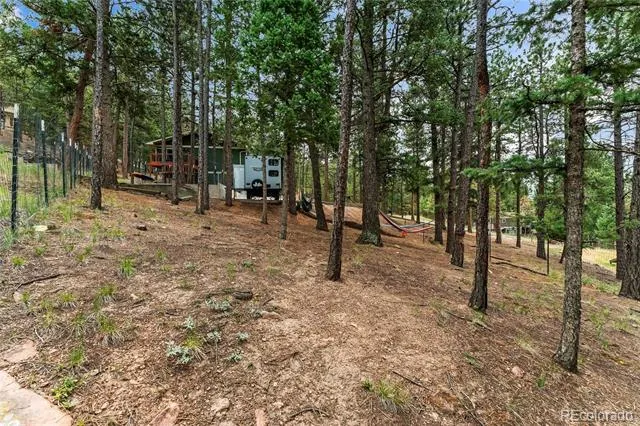 1178 Forest Hill Road Woodland Park, CO 80863