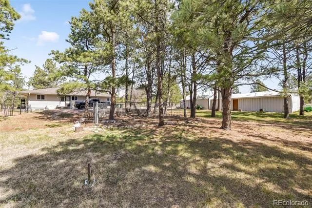 11165 Pine Meadows Road Colorado Springs, CO 80908