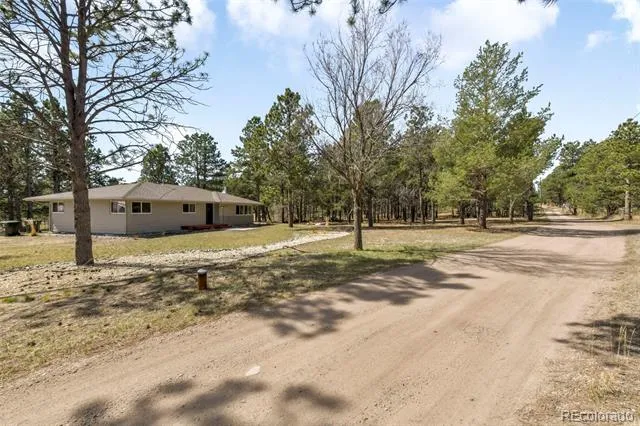 11165 Pine Meadows Road Colorado Springs, CO 80908