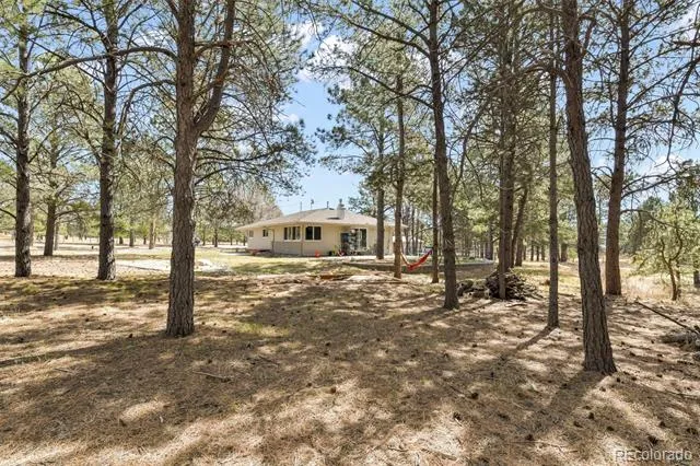 11165 Pine Meadows Road Colorado Springs, CO 80908