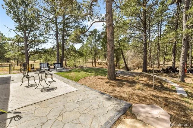 11165 Pine Meadows Road Colorado Springs, CO 80908