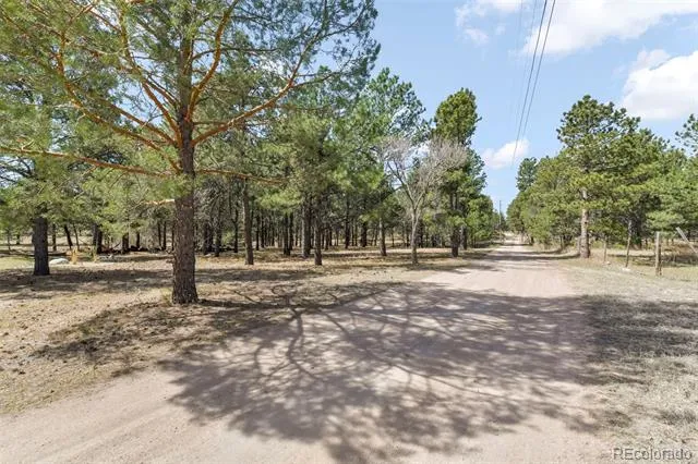 11165 Pine Meadows Road Colorado Springs, CO 80908