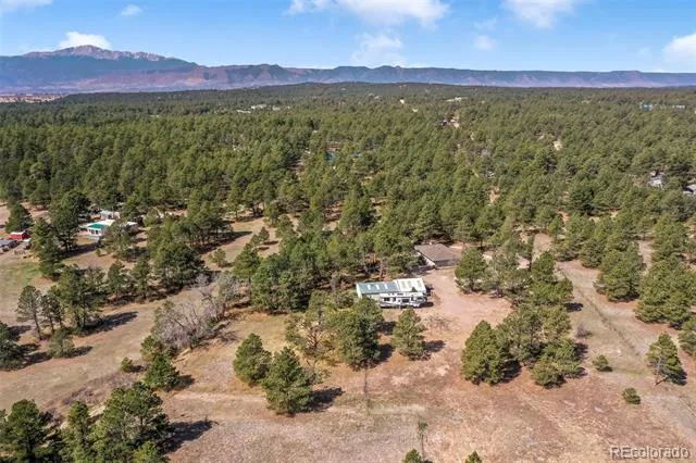 11165 Pine Meadows Road Colorado Springs, CO 80908