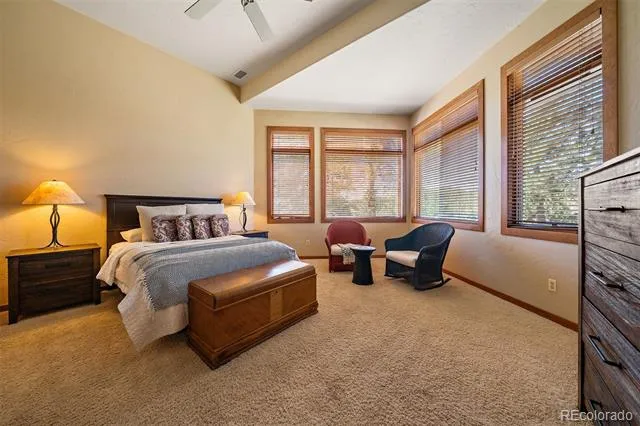 2924 Elk View Drive Evergreen, CO 80439
