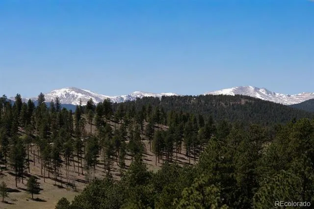 2924 Elk View Drive Evergreen, CO 80439