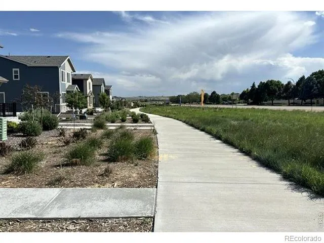 242 Scaup Lane Johnstown, CO 80534