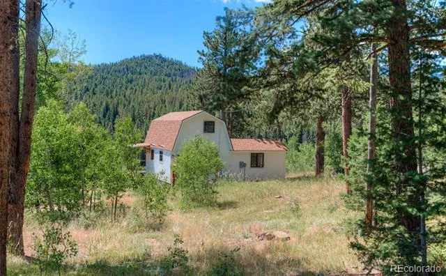 1820 Lazy Z Road #A Nederland, CO 80466
