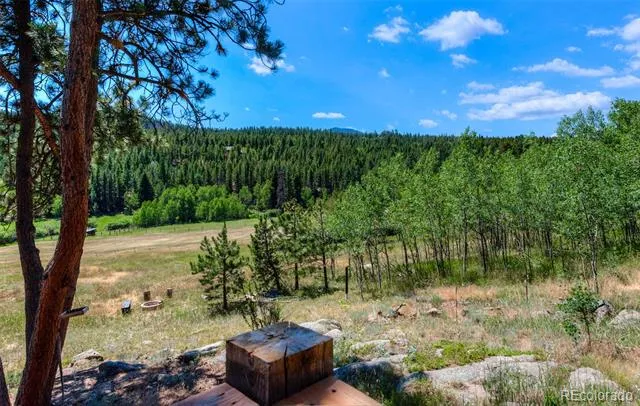 1820 Lazy Z Road #A Nederland, CO 80466