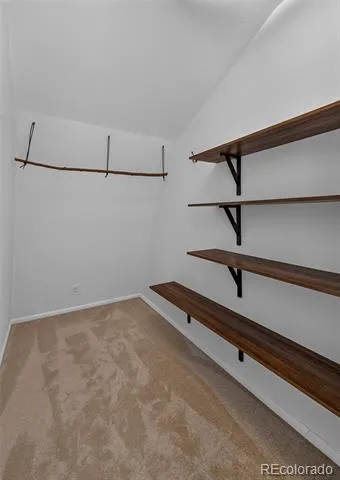 1820 Lazy Z Road #A Nederland, CO 80466