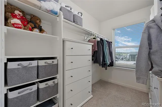 18383 Prince Hill Circle Parker, CO 80134
