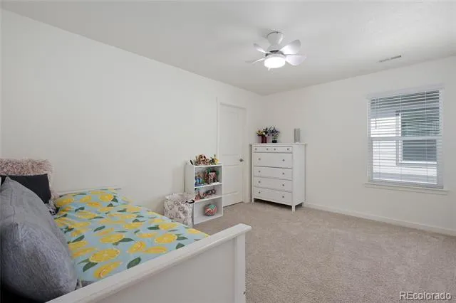 18383 Prince Hill Circle Parker, CO 80134