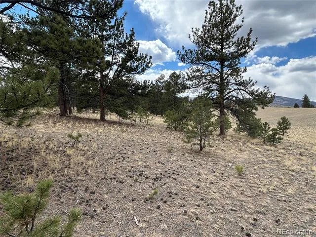 565 Brahma Circle Hartsel, CO 80449