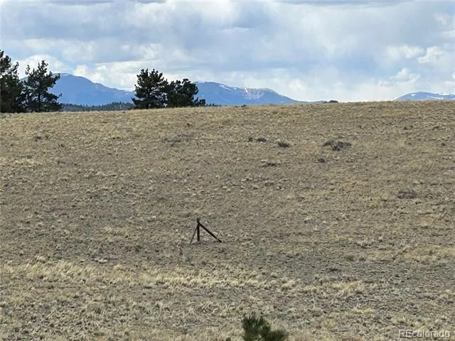 565 Brahma Circle Hartsel, CO 80449
