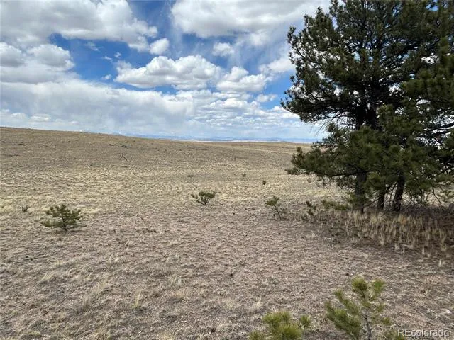 565 Brahma Circle Hartsel, CO 80449
