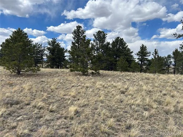 565 Brahma Circle Hartsel, CO 80449