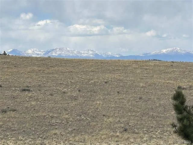 565 Brahma Circle Hartsel, CO 80449