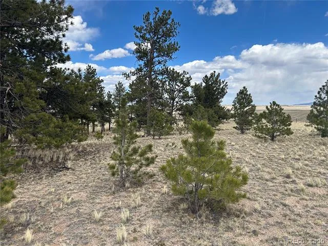 565 Brahma Circle Hartsel, CO 80449